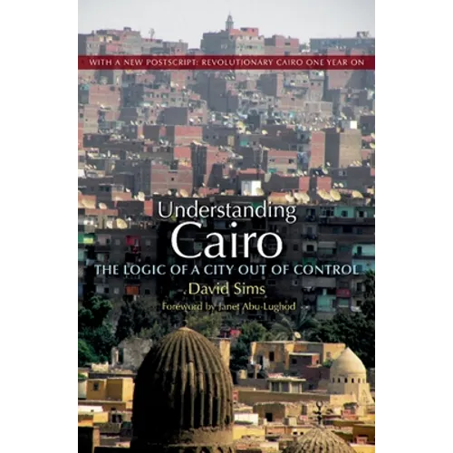 Understanding Cairo: The Logic of a City Out of Control - Paperback