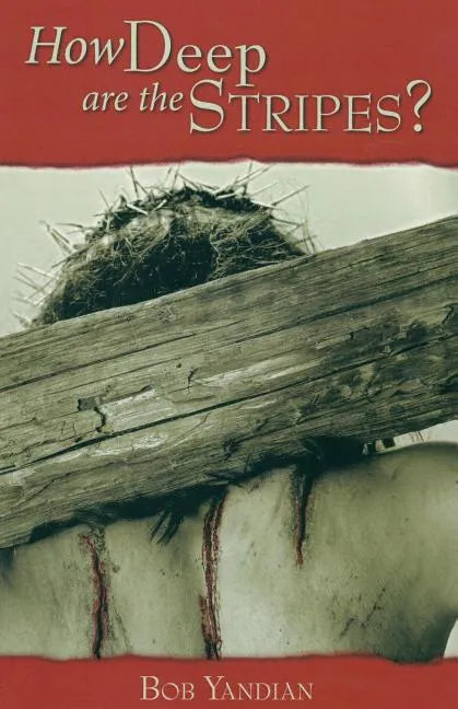 How Deep Are the Stripes? - Paperback