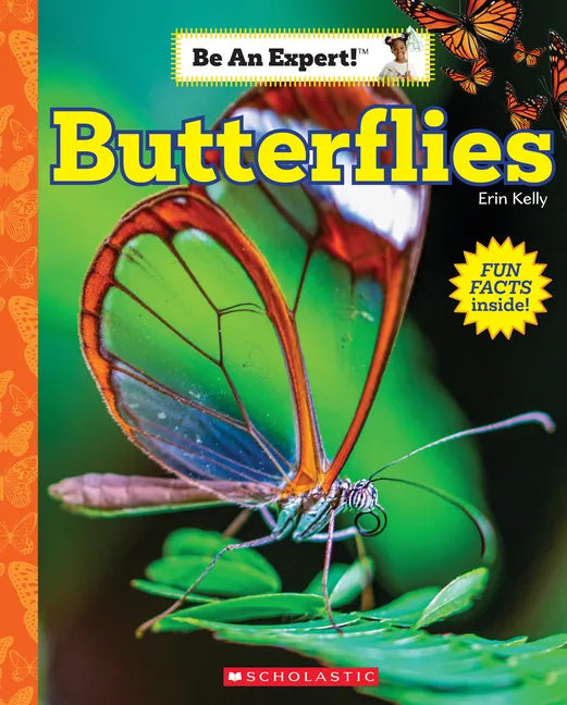 Butterflies (Be an Expert!) - Paperback