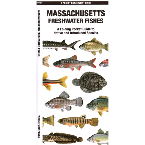 Massachusetts Freshwater Fishes: A Folding Guide to Native and Introduced Species - Paperback