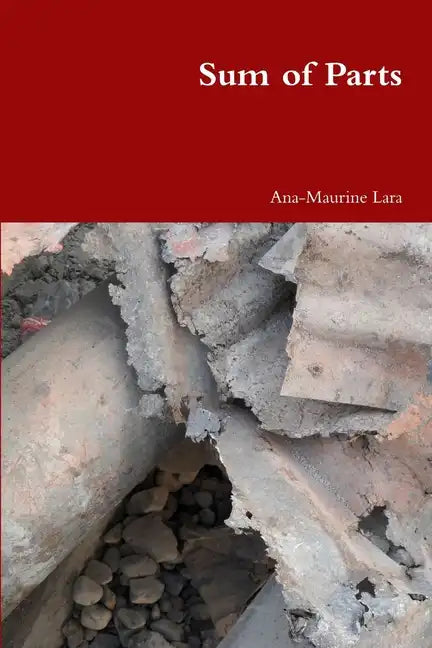 Sum of Parts - Paperback