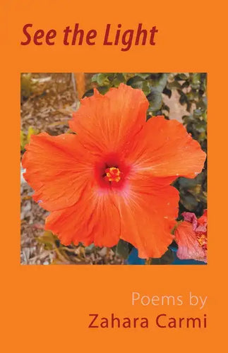 See the Light - Paperback