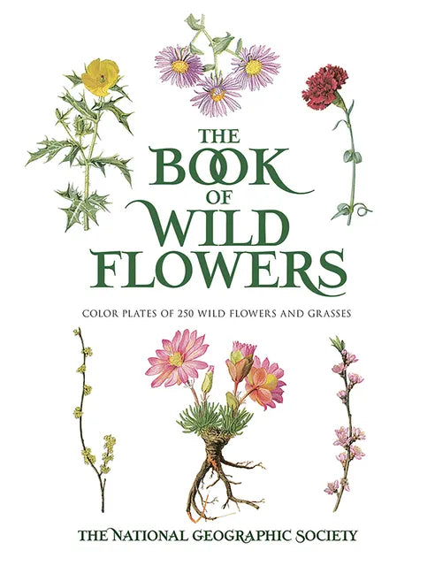 The Book of Wild Flowers: Color Plates of 250 Wild Flowers and Grasses - Paperback