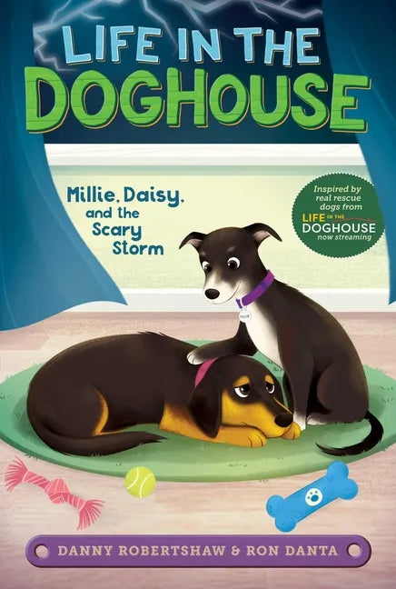 Millie, Daisy, and the Scary Storm - Paperback