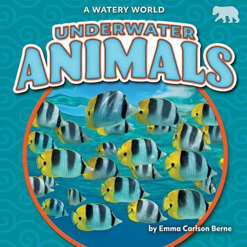 Underwater Animals - Paperback