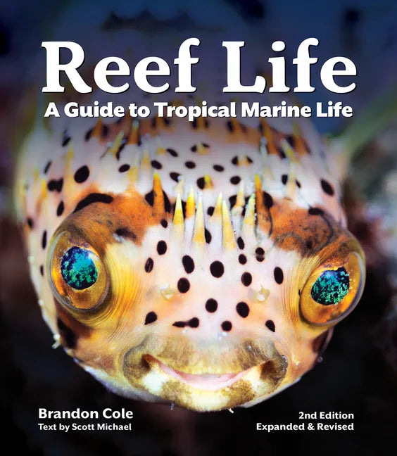 Reef Life: A Guide to Tropical Marine Life - Paperback