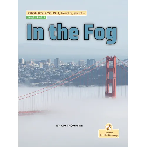 In the Fog - Paperback