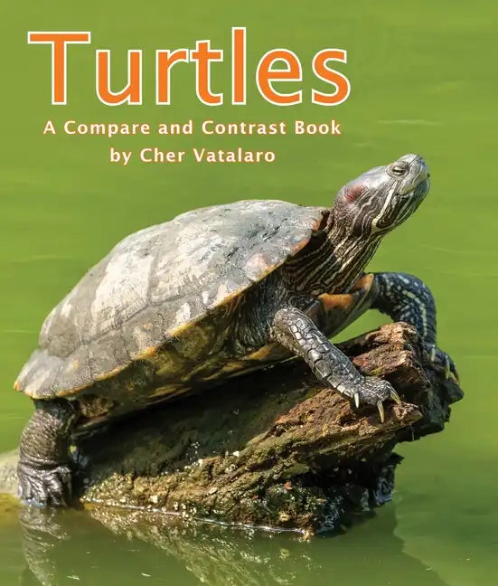 Turtles: A Compare and Contrast Book - Paperback