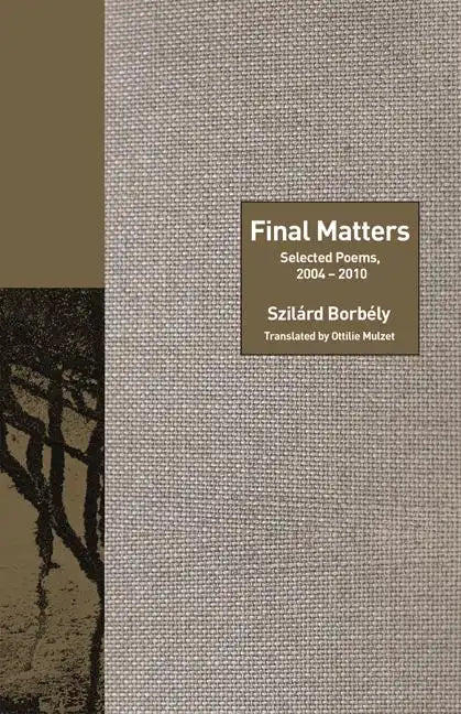 Final Matters: Selected Poems, 2004-2010 - Paperback