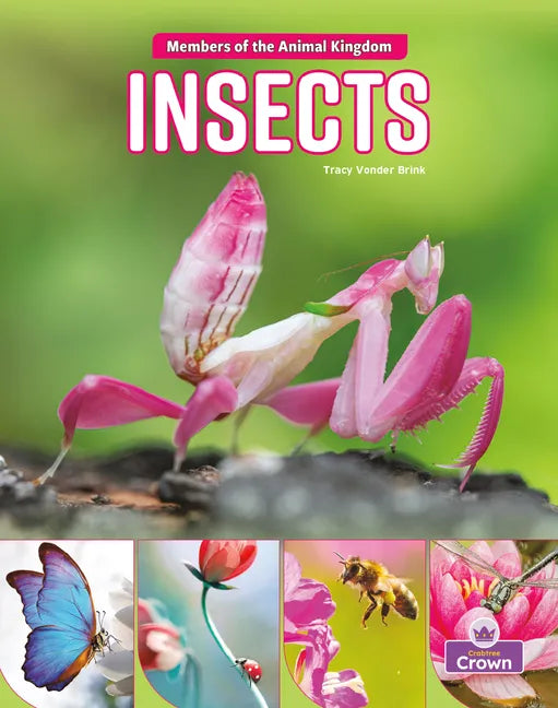 Insects - Library Binding