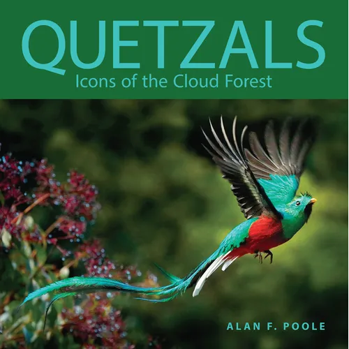 Quetzals: Icons of the Cloud Forest - Paperback