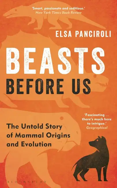 Beasts Before Us: The Untold Story of Mammal Origins and Evolution - Paperback