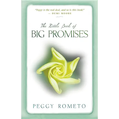 Little Book of Big Promises - Paperback