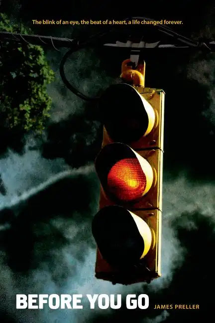 Before You Go - Paperback