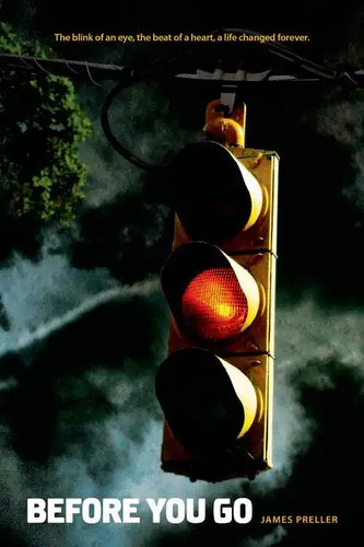 Before You Go - Paperback