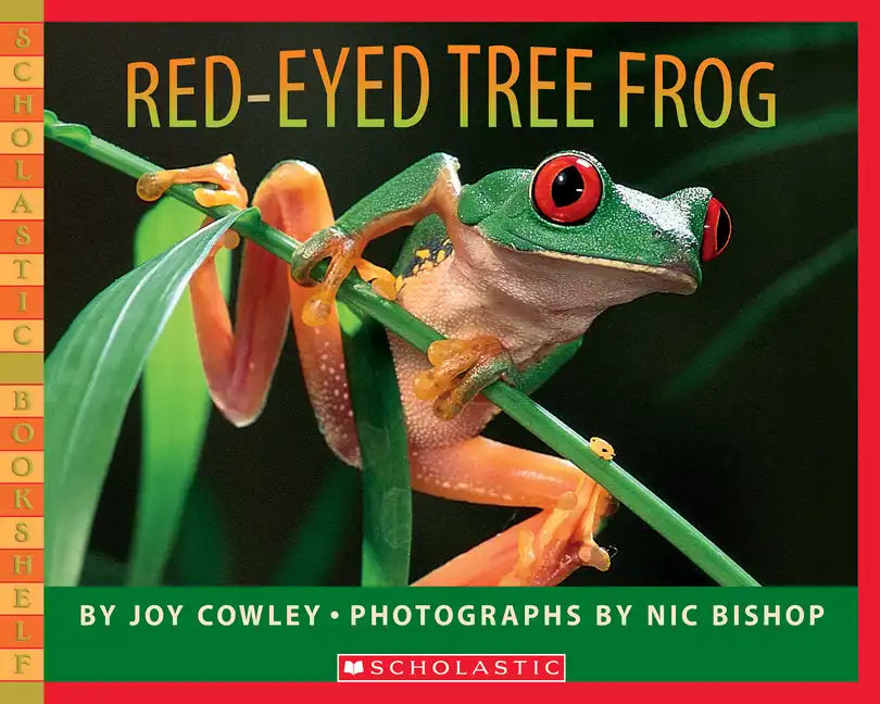 Red-Eyed Tree Frog - Paperback