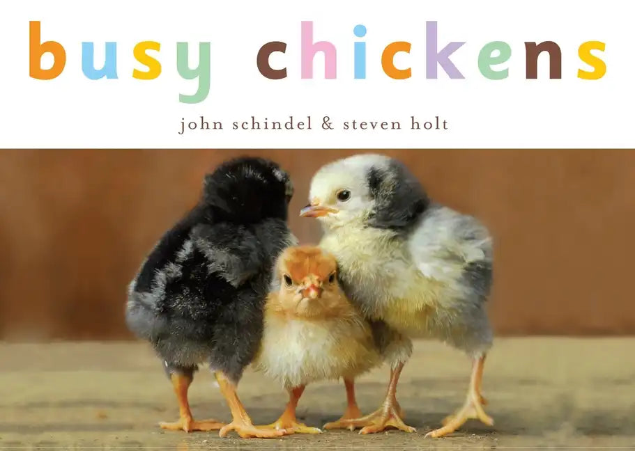 Busy Chickens - Board Book