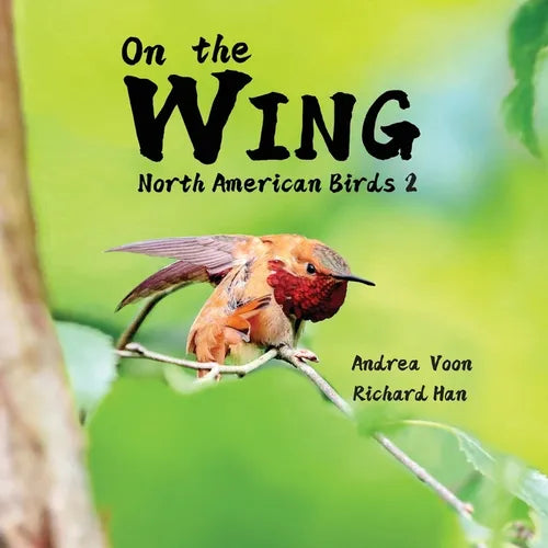 On the Wing - North American Birds 2 - Paperback