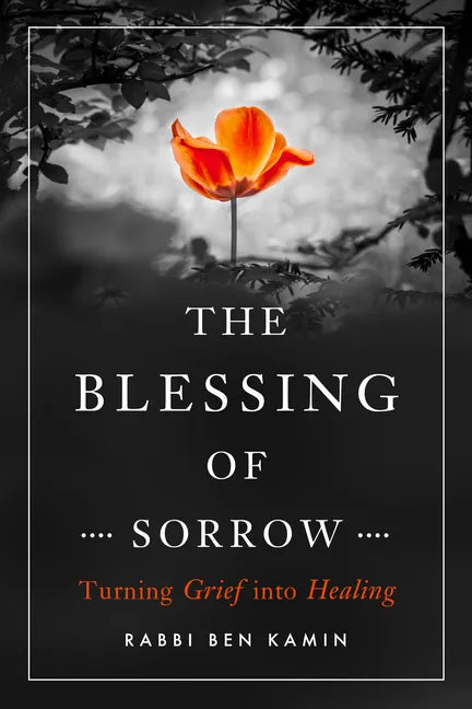The Blessing of Sorrow: Turning Grief Into Healing - Paperback