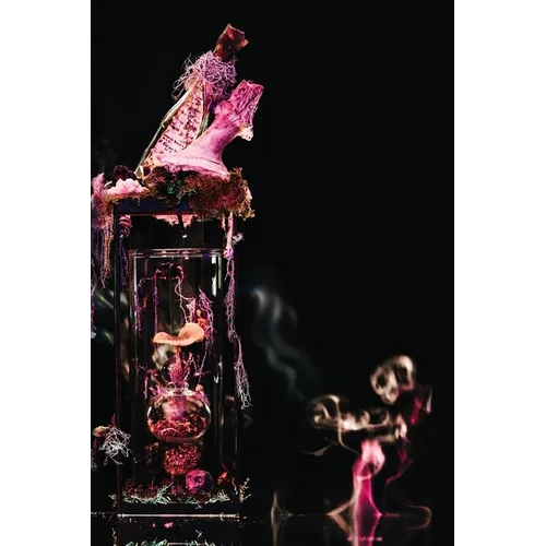 Three Sixes and a Forked Tongue or Cold Medicine and a Liar - Paperback