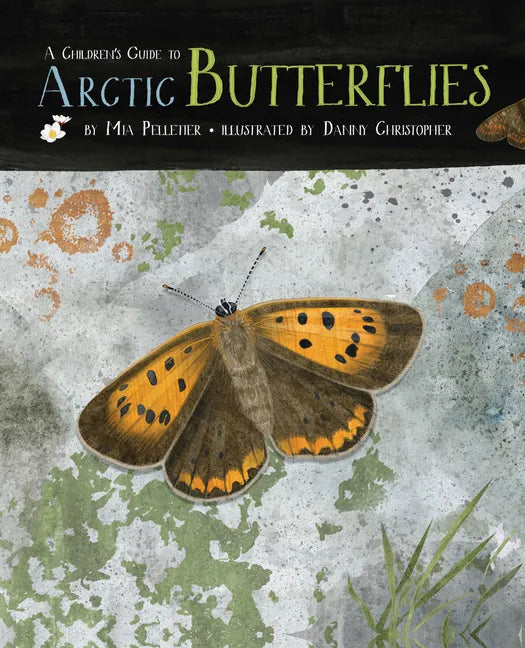 A Children's Guide to Arctic Butterflies - Hardcover
