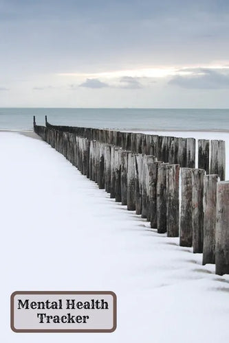 Mental Health Tracker - Paperback