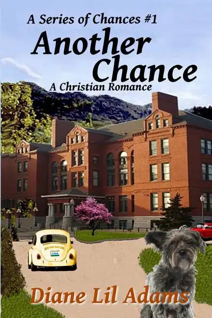 Another Chance: A Christian Romance - Paperback