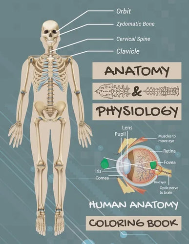 Anatomy & Physiology: Human Anatomy Coloring Book: Human Body Coloring Book, The Anatomy Of Coloring Book. - Paperback