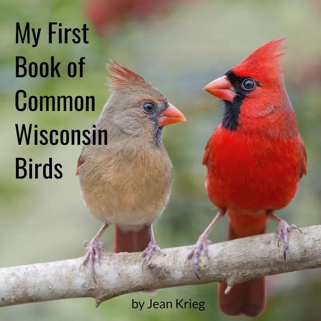 My First Book of Common Wisconsin Birds - Paperback