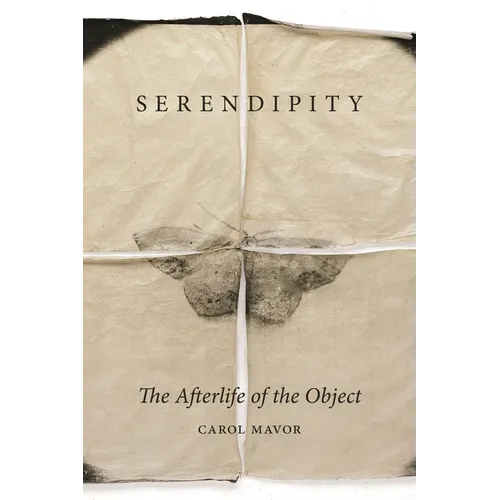Serendipity: The Afterlife of the Object - Hardcover
