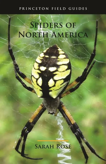 Spiders of North America - Paperback