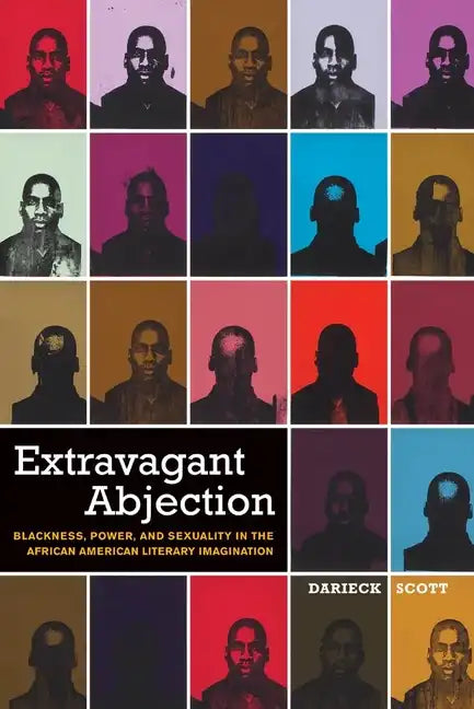Extravagant Abjection: Blackness, Power, and Sexuality in the African American Literary Imagination - Paperback