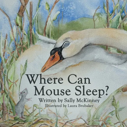 Where Can Mouse Sleep? - Paperback