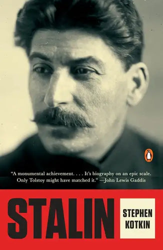 Stalin: Paradoxes of Power, 1878-1928 - Paperback