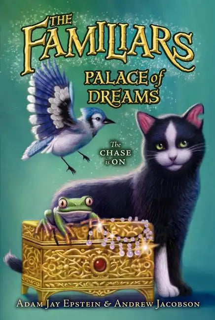Palace of Dreams - Paperback