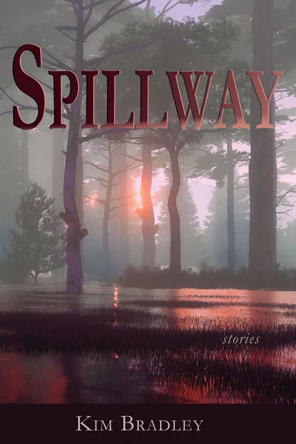Spillway - Paperback