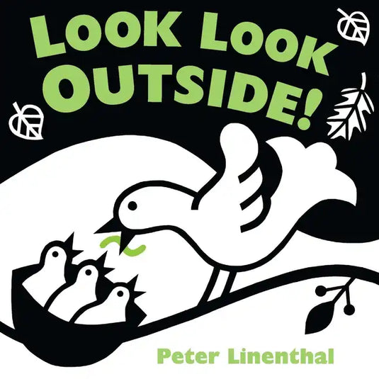 Look Look Outside! - Board Book