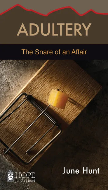 Adultery: The Snare of an Affair - Paperback