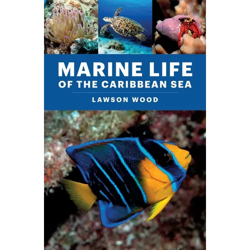 Marine Life of the Caribbean Sea - Paperback