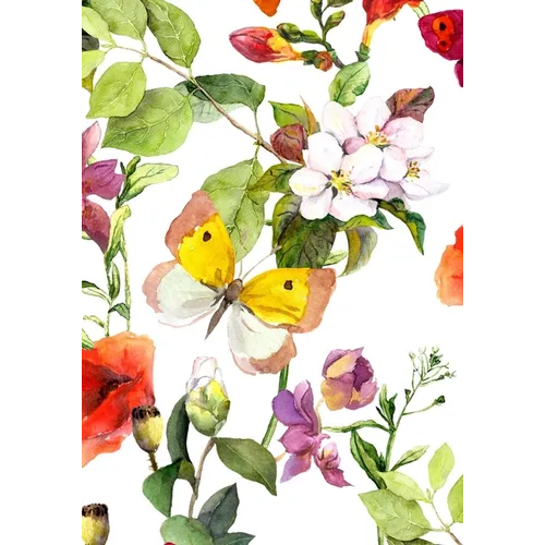 UNDATED DAILY PLANNER & BUSINESS ORGANIZER (Pink Butterfly) - Paperback