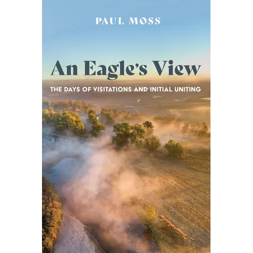 An Eagle's View: The Days of Visitations and Initial Uniting - Paperback