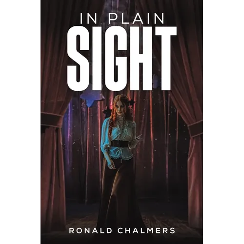 In Plain Sight - Paperback