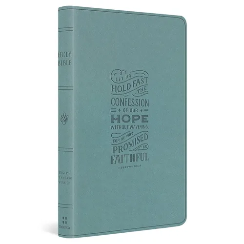 ESV Large Print Value Thinline Bible (Trutone, Paris Sky, Hebrews 10:23 Design) - Imitation Leather