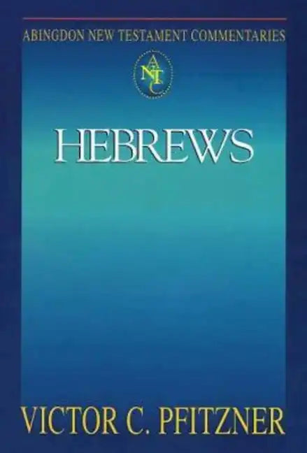 Abingdon New Testament Commentaries: Hebrews - Paperback
