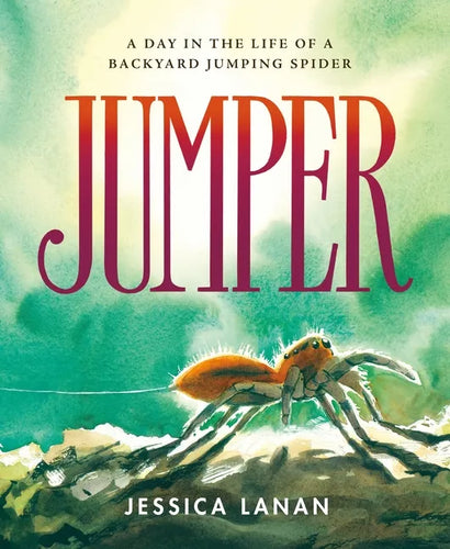 Jumper: A Day in the Life of a Backyard Jumping Spider - Hardcover