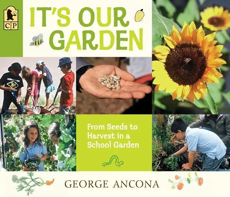 It's Our Garden: From Seeds to Harvest in a School Garden - Paperback