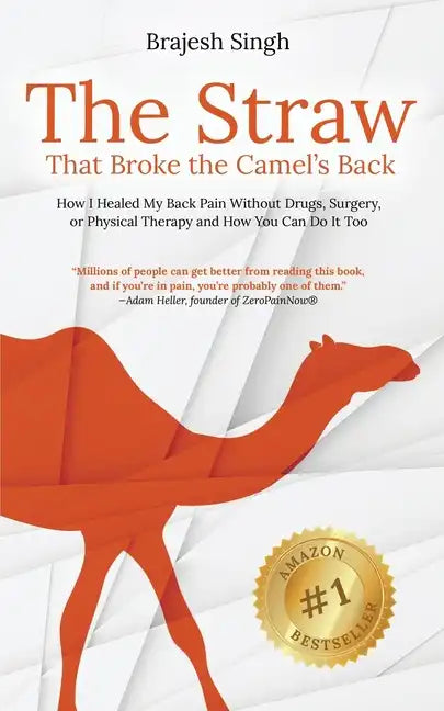 The Straw That Broke the Camel's Back: How I Healed My Back Pain Without Drugs, Surgery, or Physical Therapy and How You Can Do It Too - Paperback