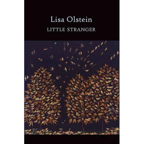 Little Stranger - Paperback