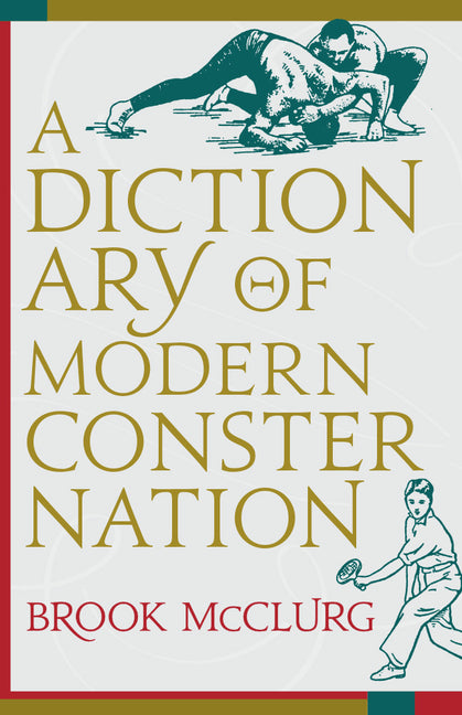 A Dictionary of Modern Consternation - Paperback