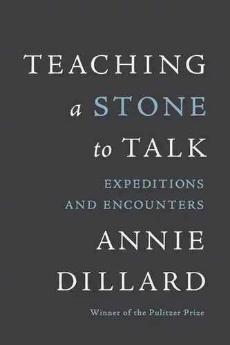 Teaching a Stone to Talk: Expeditions and Encounters - Paperback
